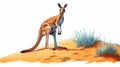 Vibrant Kangaroo Illustration: Hyper-realistic Animal Art On Desert Sand Dune