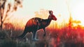Kangaroo in Stunning Double Exposure Australian Outback Beauty