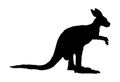 Kangaroo vector illustration black silhouette