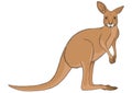 Kangaroo. Vector illustration decorative design Royalty Free Stock Photo