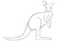 Kangaroo. Vector illustration decorative design Royalty Free Stock Photo