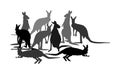 Kangaroo vector silhouette illustration isolated on white background. Australian animal portrait. Royalty Free Stock Photo