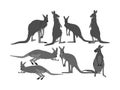 Kangaroo vector silhouette illustration isolated on white background. Australian animal portrait. Royalty Free Stock Photo