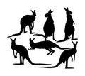 Kangaroo vector silhouette illustration isolated on white background. Australian animal portrait. Royalty Free Stock Photo