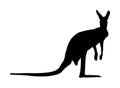 Kangaroo vector silhouette illustration isolated on white background. Australian animal portrait. Tourist symbol souvenir. Royalty Free Stock Photo