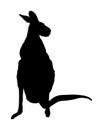 Kangaroo vector silhouette illustration isolated on white background. Australian animal portrait. Tourist symbol souvenir.
