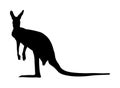 Kangaroo vector silhouette illustration isolated on white background. Australian animal portrait. Tourist symbol souvenir.