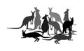 Kangaroo vector silhouette illustration isolated on white background. Australian animal portrait. Tourist symbol souvenir.