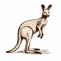 Vintage Sepia-toned Kangaroo Illustration: Clever Juxtapositions And Detailed Realism