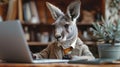 a kangaroo wallaby in a medical suit works on a laptop, poster