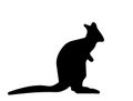 Kangaroo Wallaby Wallaroo silhouette on white