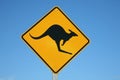 Kangaroo warning sign