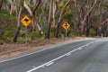 Kangaroo warning sign by the country road Royalty Free Stock Photo