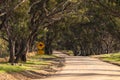 Kangaroo warning sign next to the country road Royalty Free Stock Photo