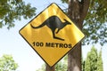 Kangaroo warning traffic sign