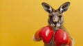 A kangaroo is wearing boxing gloves and standing in front of a yellow background