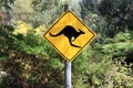 Kangaroo warning sign in the countryside