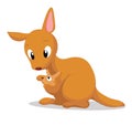 Kangaroos so cute