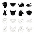 Kangaroos, llama, monkey, panther, Realistic animals set collection icons in black,outline style vector symbol stock Royalty Free Stock Photo