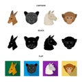 Kangaroos, llama, monkey, panther, Realistic animals set collection icons in cartoon,black,flat style vector symbol Royalty Free Stock Photo