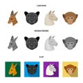 Kangaroos, llama, monkey, panther, Realistic animals set collection icons in cartoon,flat,monochrome style vector symbol Royalty Free Stock Photo
