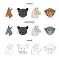 Kangaroos, llama, monkey, panther, Realistic animals set collection icons in cartoon,outline,monochrome style vector
