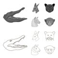 Kangaroos, llama, monkey, panther, Realistic animals set collection icons in outline,monochrome style vector symbol Royalty Free Stock Photo