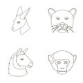 Kangaroos, llama, monkey, panther, Realistic animals set collection icons in outline style vector symbol stock Royalty Free Stock Photo