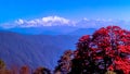 The Kangchenjunga with Rhododendron