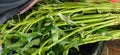 Kangkung plant from traditional market