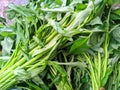 kangkung, water spinach, chinese spinach, close up, selective focus