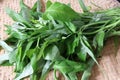 Kangkung or Water spinach