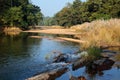 Kanha National Park - India