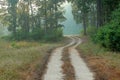 Kanha National Park - India