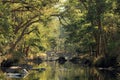 Kanha National Park