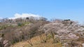 The Kannon statue and Funaoka castle ruin park, Miyagi, Japan. Royalty Free Stock Photo