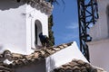 Kanoni, the church of Panagia Vlacherna and the Mouse Island on the Greek Island of Corfu Royalty Free Stock Photo