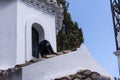 Peacock on the Greek orthodox Chapel on the Mouse Island on the Greek Island of Corfu Royalty Free Stock Photo