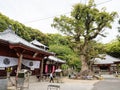 On the shared grounds of Kannonji and Jinnein, temples 68 and 69 on Shikoku