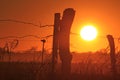 Kansas blazing orange sunset with a fence silhouette with the sun