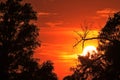Kansas Blazing Sunset with tree silhouettes and clouds