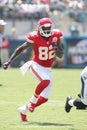 Dwayne Bowe Royalty Free Stock Photo