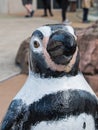 African Penguin Statue at Kansas City Zoo