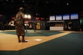 Negro Leagues Baseball Museum, Kansas City Royalty Free Stock Photo