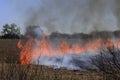 Kansas farm field burning to regenerate new life with flames and smoke out in the country.