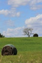 Kansas farmland with Alfalfa hay bales in a field with green grass, tree`s, blue sky and white clouds out in the country., Royalty Free Stock Photo