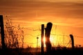 Kansas orange and yellow sky at sunset with a fence silhouette that`s bright and colorful. Royalty Free Stock Photo