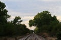 Kansas Railroad Tracks out in the country with blue sky and tree`s Royalty Free Stock Photo