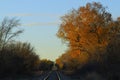 Kansas railroad tracks at sunset in the fall with trees Royalty Free Stock Photo