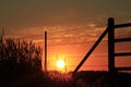 Kansas Sunset with a fence silhouette with the Sun and clouds